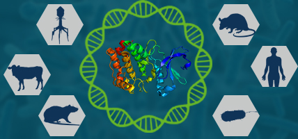 Recombinant proteins